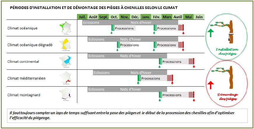 Période d'installation et de démontage Ecopiège